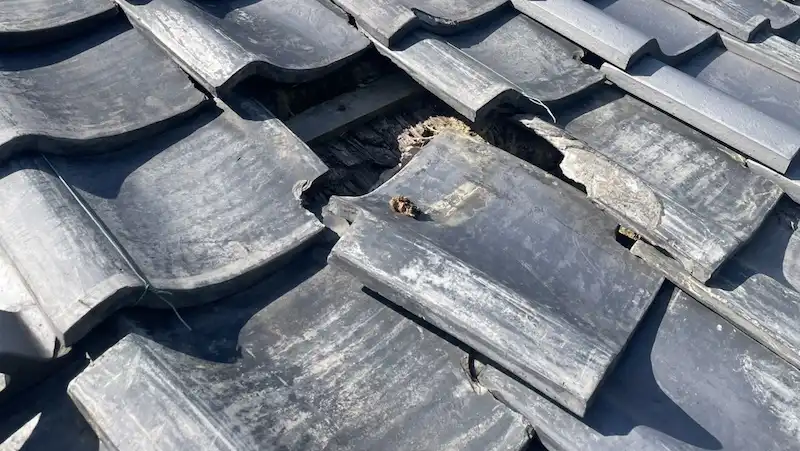【2026年10月19日】破損してずれた瓦【岐阜県揖斐郡】